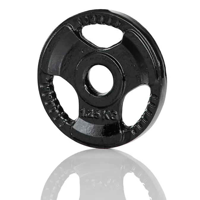 Viktskiva Gymstick Iron Weight Plate